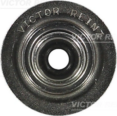 Seal Ring, valve stem